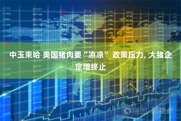 中玉束哈 美国猪肉要“凉凉” 政策压力, 大猪企定增终止