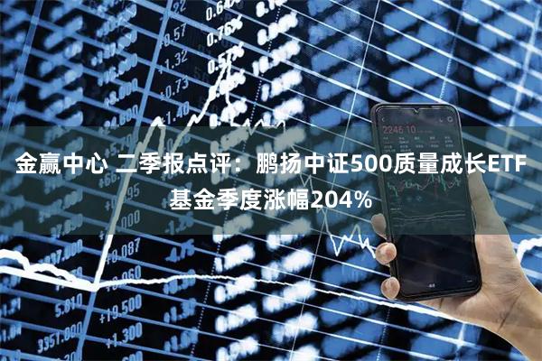 金赢中心 二季报点评：鹏扬中证500质量成长ETF基金季度涨幅204%